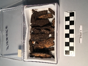 E15207.6