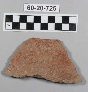 60-20-725