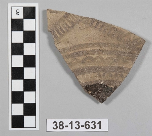 38-13-631