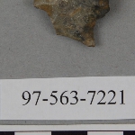 441381