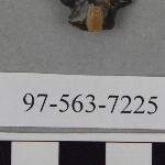 441389
