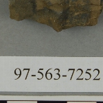 441446