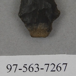 441497