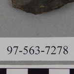 441498
