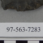 441506