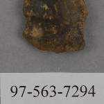 441528