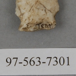 441542