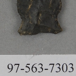 441546