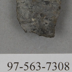 441556