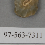 441562