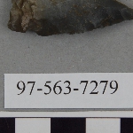 441566