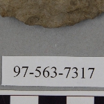441576