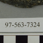 441586