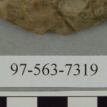 441590