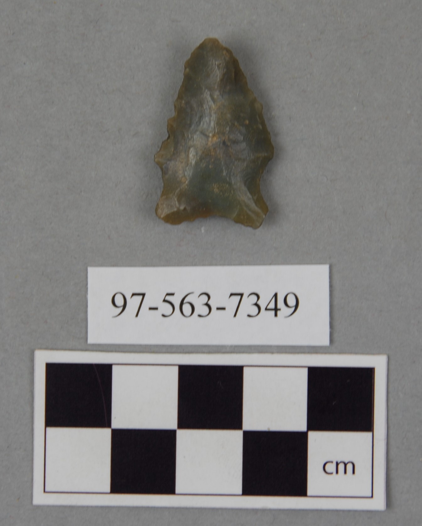 441637