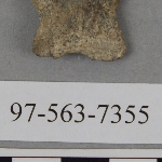 441649