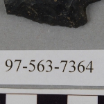 441667