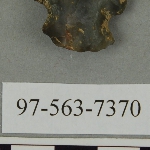 441679
