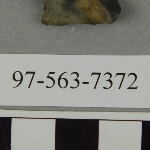 441683