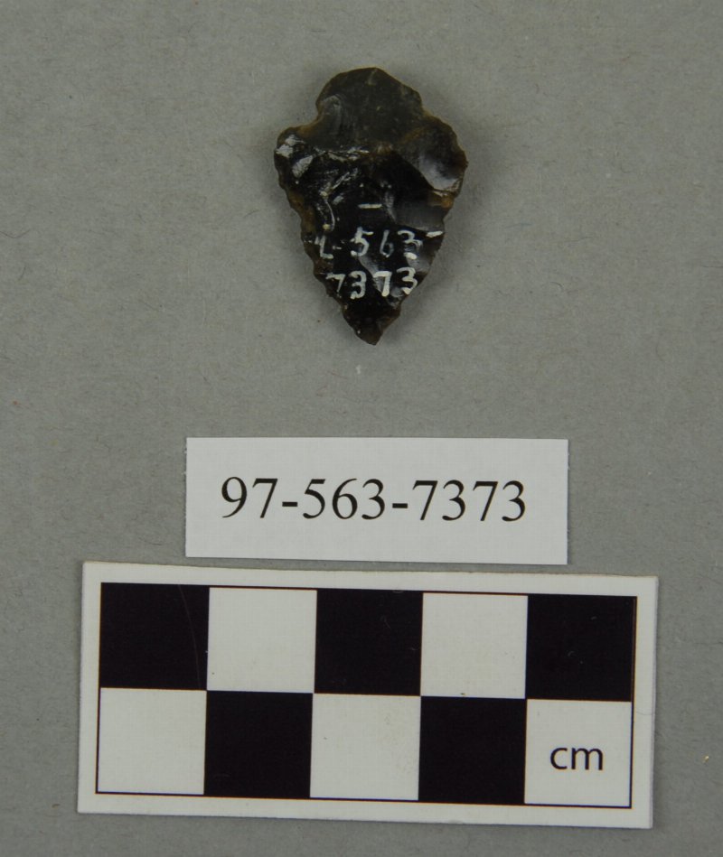 441684