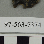 441687