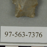 441691