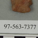 441693
