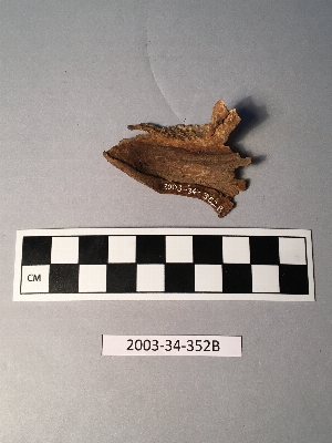 2003-34-352B