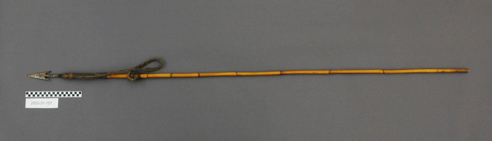 445026