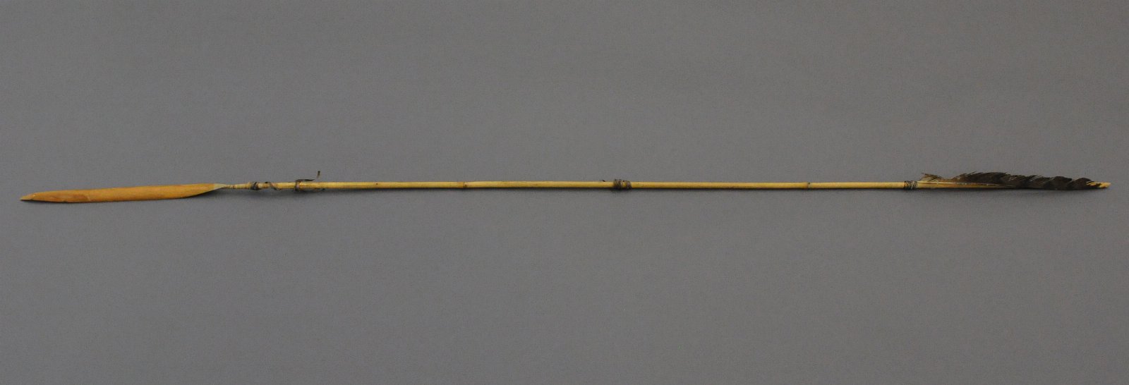 445031