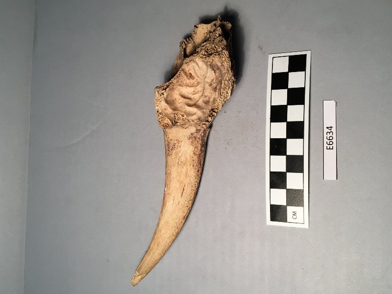 445173