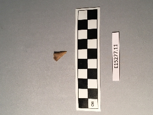 E15277.11