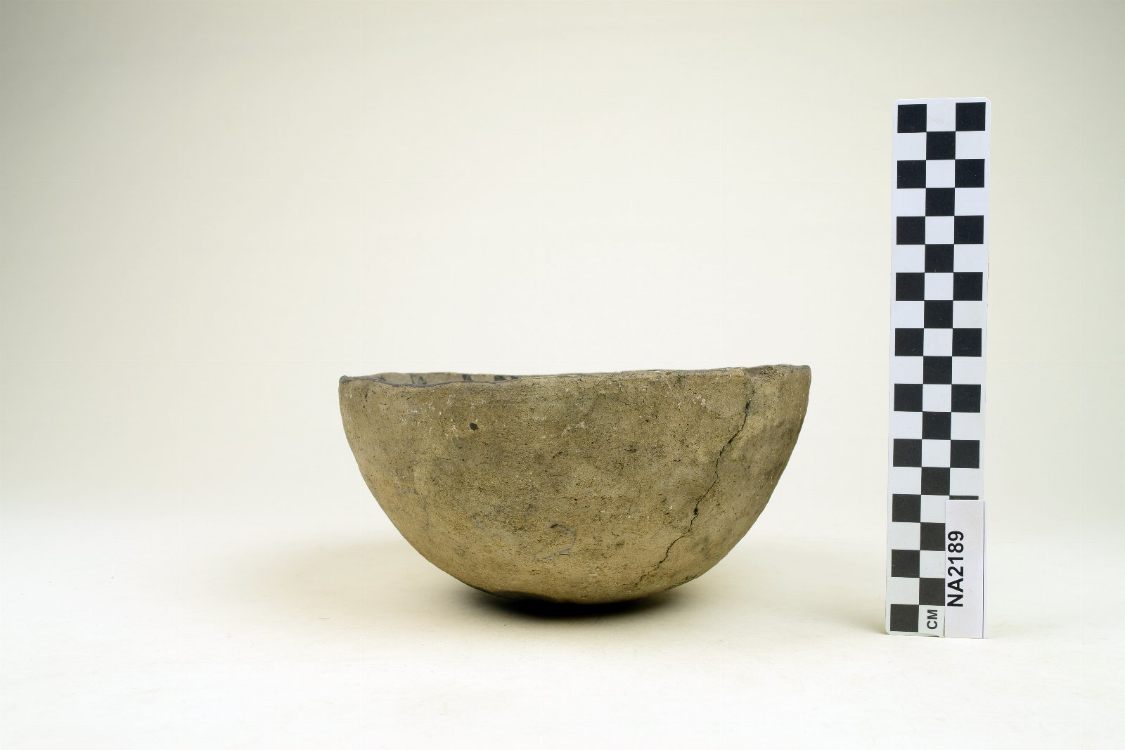 445573