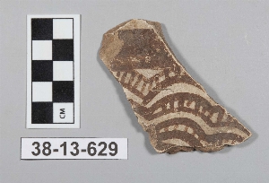 38-13-629