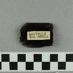 453321