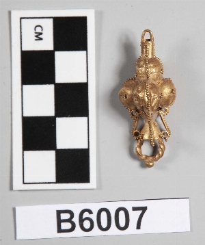 B6007