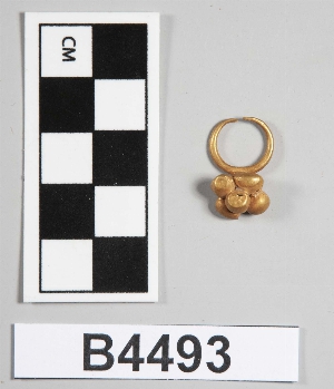 B4493