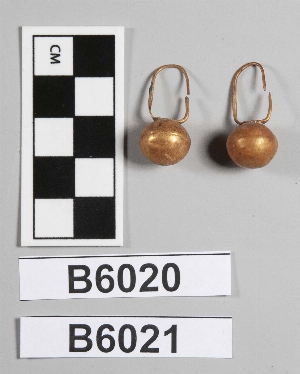 B6021