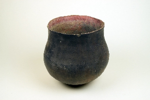 29-78-36