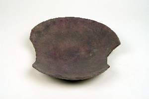NA9313