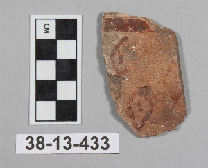 38-13-433