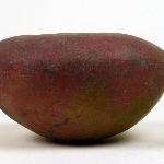 455299