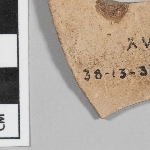 456954