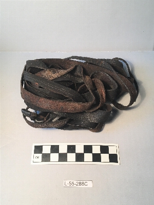 L-55-288C