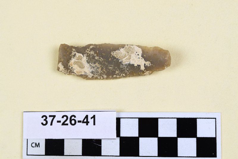 458667