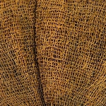 459064
