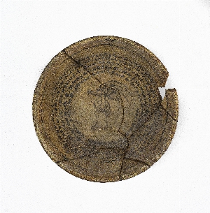 B16096