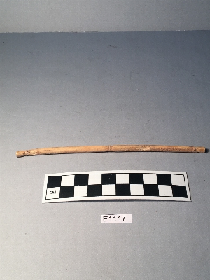 E1117