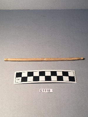 E1119