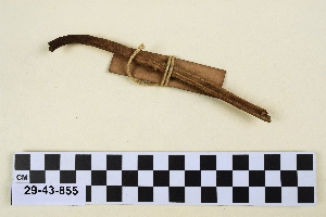 29-43-855